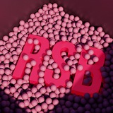 rsb.team – bot