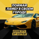 Поймай Ламбу. Сотка
