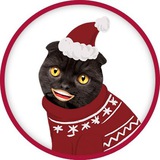 bublik_bot