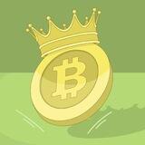 USDT CHECK ️