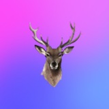 Жены Куколдов 🦌 от Алексы Фин