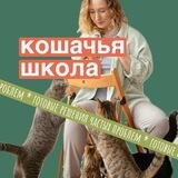 Кошачья Школа