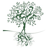 Курс как выбрать школу от EcofamilySchool