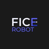 FICE Bot