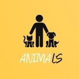 Animal’s