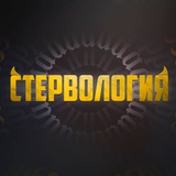 Вебинар Насти Рыбки