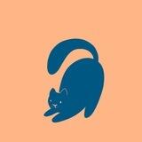 Котик из Молодёжного Рассвета