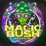 Magic Bush НЕ