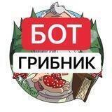 MUHOMORSPACE.RU 🍄🌏 Купить мухомор с доставкой по всему Миру