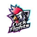 Cock Fights Eggs Sale
