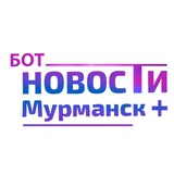 Бот помошник по сбору обратной связи