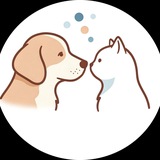 🐈 Носики 🐕