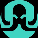 Octo