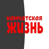 Камчатская жизнь (бот)