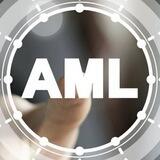 AML Crypto Check