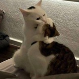 Мы в предложке?