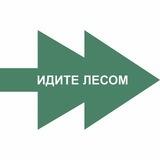 Сбор макулатуры Идите лесом
