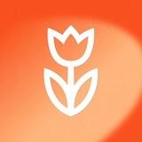 Flowwow_market_bot
