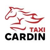 taxicardin