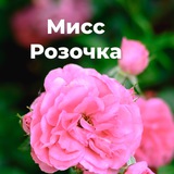 Мисс Розочка🌹