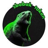 $BOBAK (Scream-to-earn)