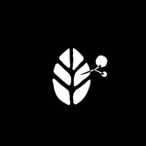 Lunga Group