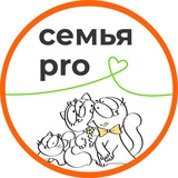 Semia.pro - колесо баланса отношений в паре