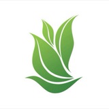 LaminaLife HR bot