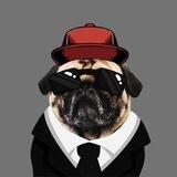 ⚡ $PWJ AIRDROP ⚡