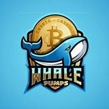 Crypto Whale Pumps Support