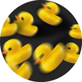 DuckDataMarket