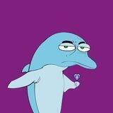 Dolphin