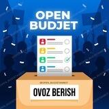 OPEN BUDJET