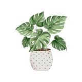 Botanica_plants | Bot