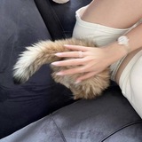 .⧼ ᷂سَايت ᷂وديان ଛ .