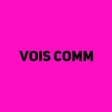 voislava_bot