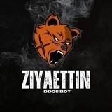 Ziyaettin ~ BOT