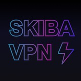SKIBA VPN