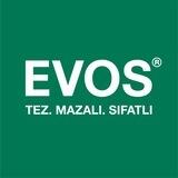 Бот-сайт «EVOS»