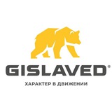 Gislaved Hockey Game