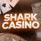 Shark Casino