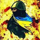 Народний месник