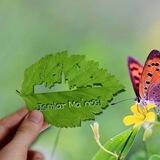 Ismlar manosi 🍃