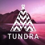 Tundra Bot