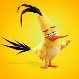 💸 MONEY BIRD