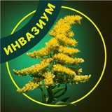 Инвазиум