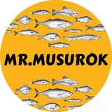 Бот Musurok форум рыбаков