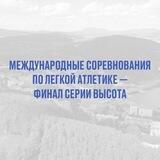 Королева спорта / Бот для ответа на вопросы
