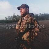Бот полковника