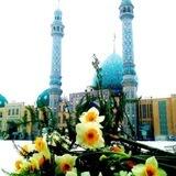 صاحب قلبي.. ♥️ عج